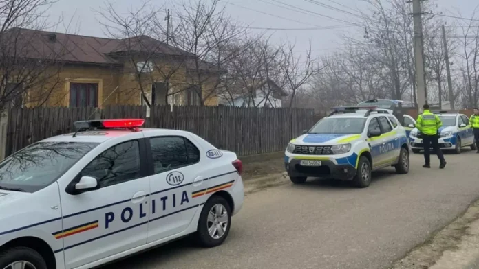 politie timis