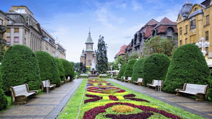 timisoara-4