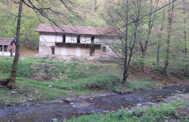 tabara-scolara-nadrag-judetul-timis-620x400