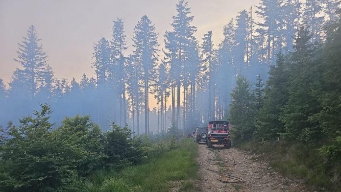 padure.incendiu.nadrag