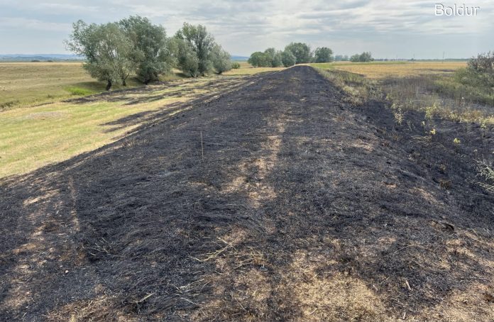 incendiu.vegetatie.boldur