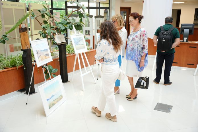 cristina-stangaciu-expozitie-4