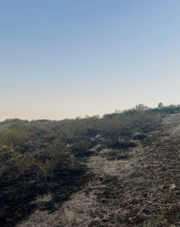 incendiu.vegetatie