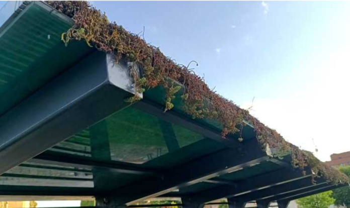 Captură de ecran 2025-10-15 104857