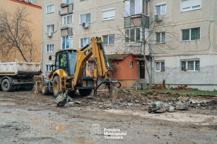 parcare.lipovei.Luminița Boțoc 2