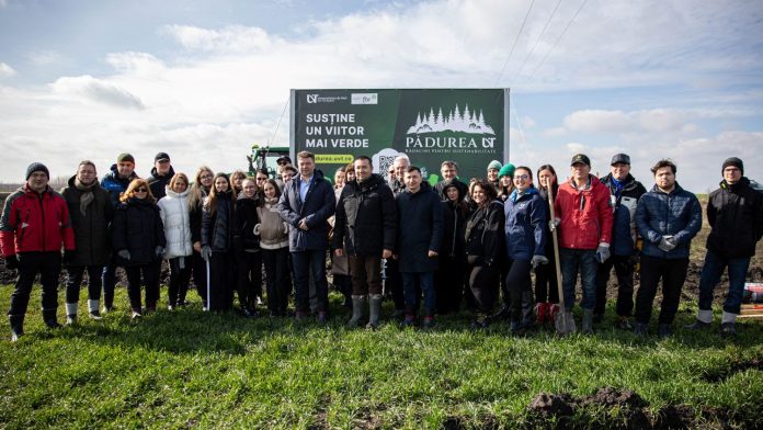 plantare.uvt