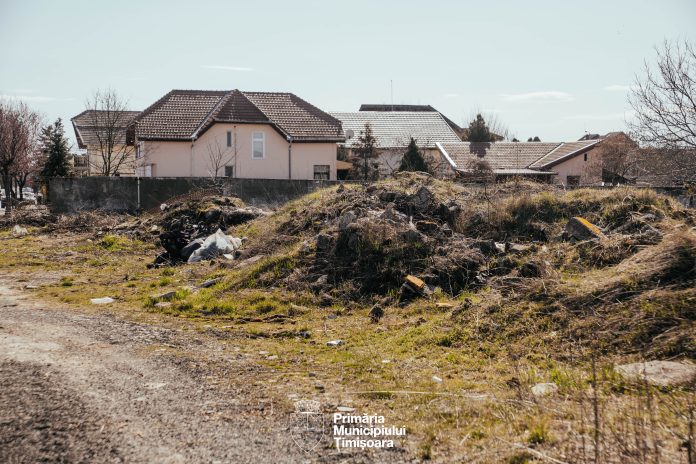 balaurul.ecologizare