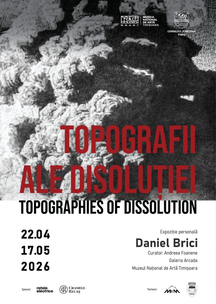 Daniel Brici_afiș_web