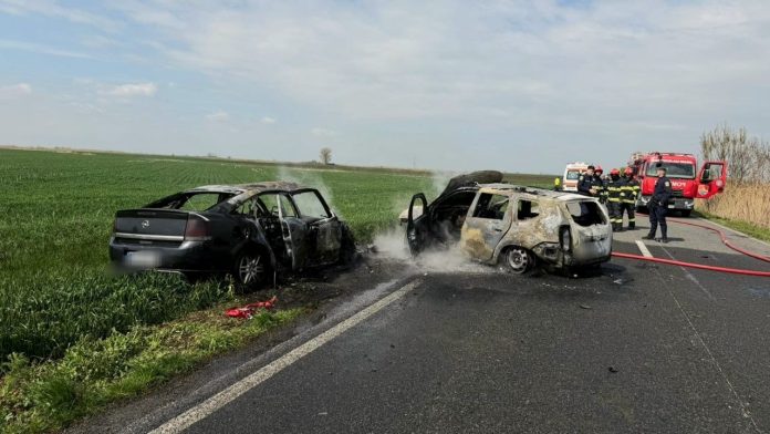 accident.teremia.comlos