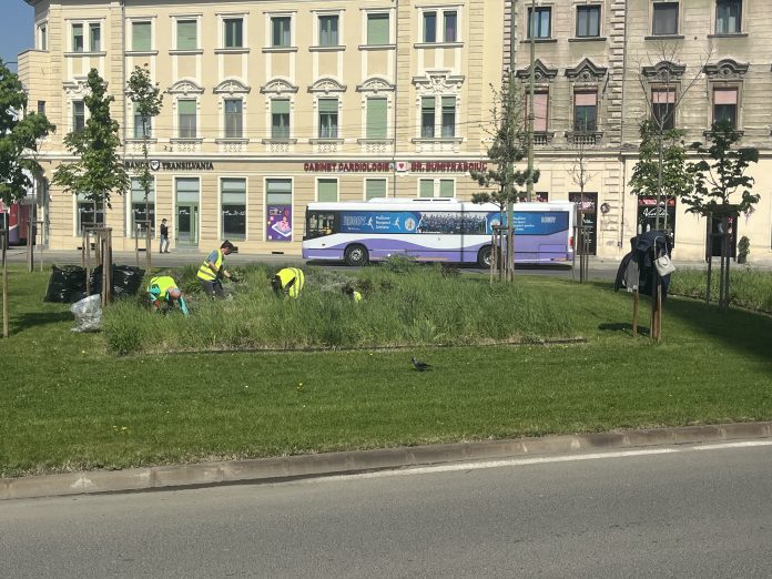 horticultura.cuier.balcescu