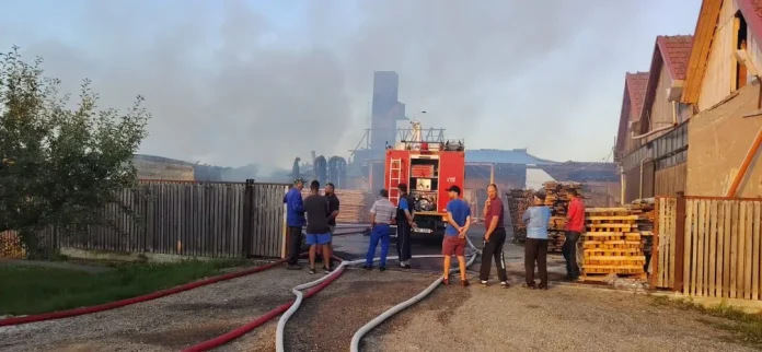 incendiu-fabrica-lemn-3