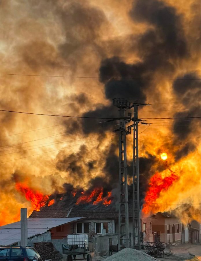 IMG-20260803-WA0008